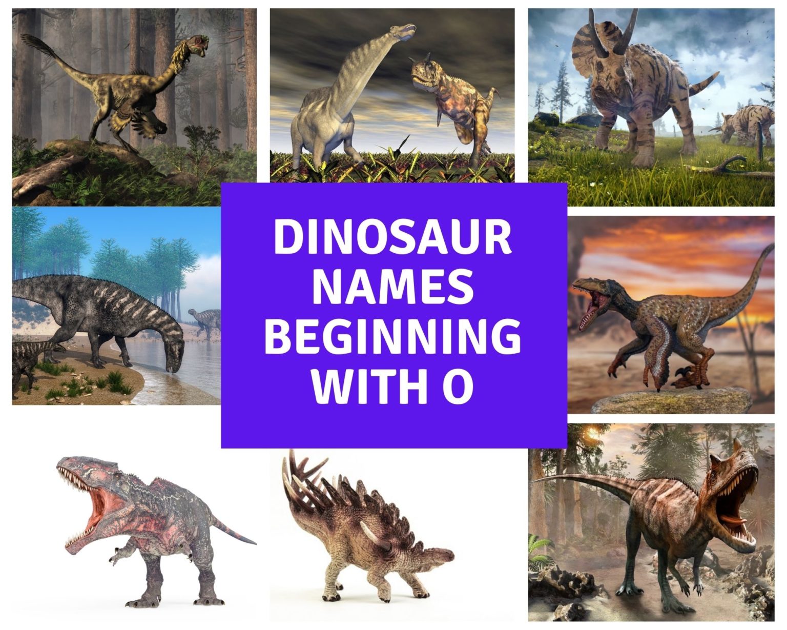 All Dinosaur Names: Dinosaur A To Z List - Dinosaur Facts For Kids