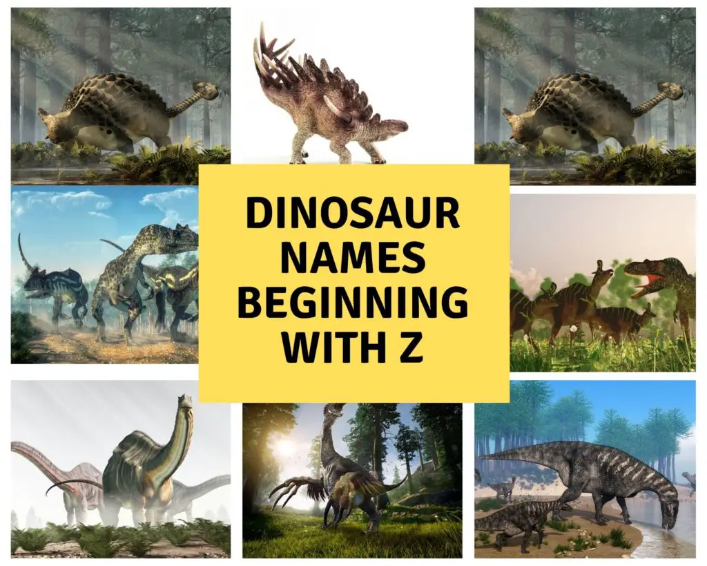 Dinosaur names beginning with Z