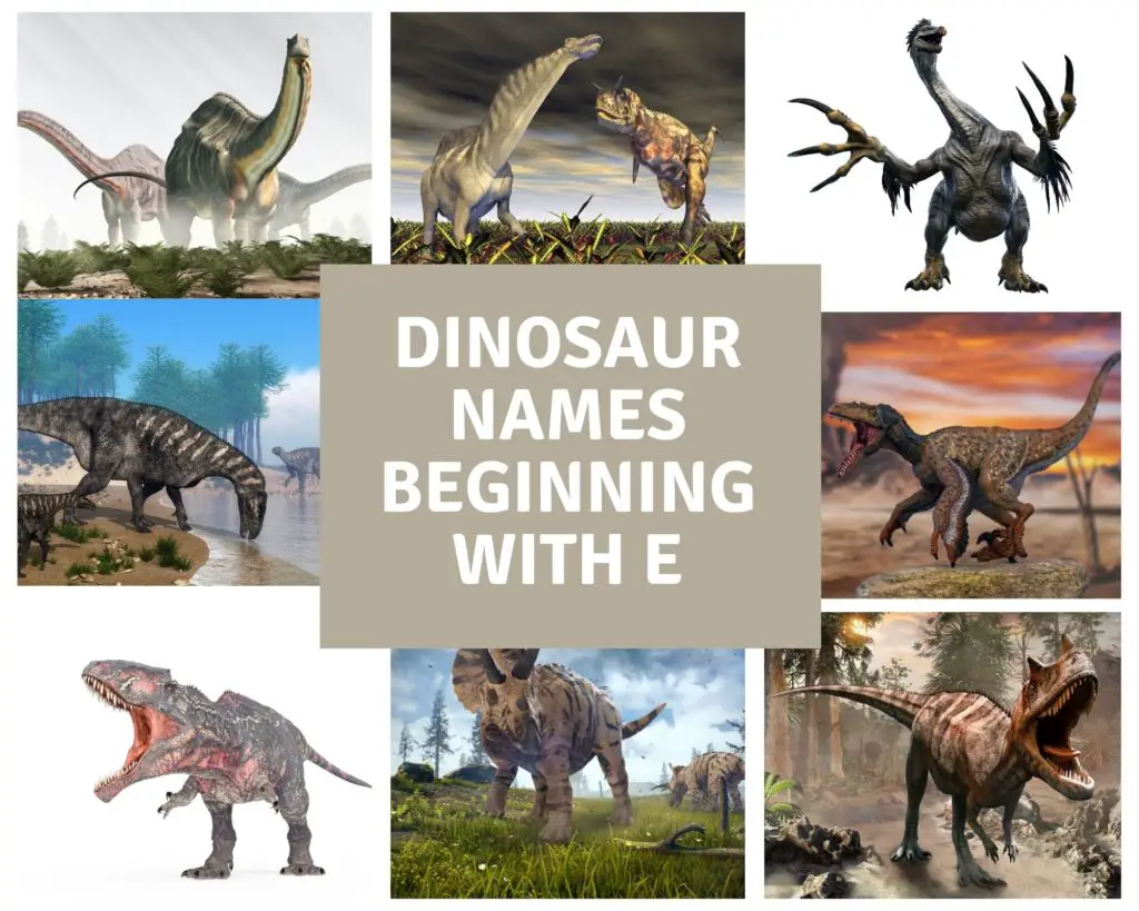 Dinosaur names beginning with E