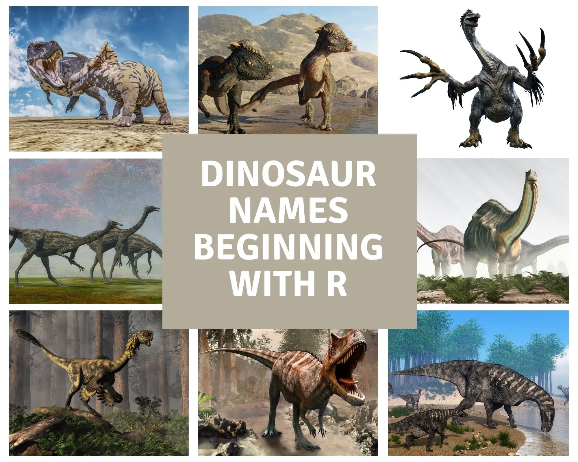 Dinosaur names beginning with r