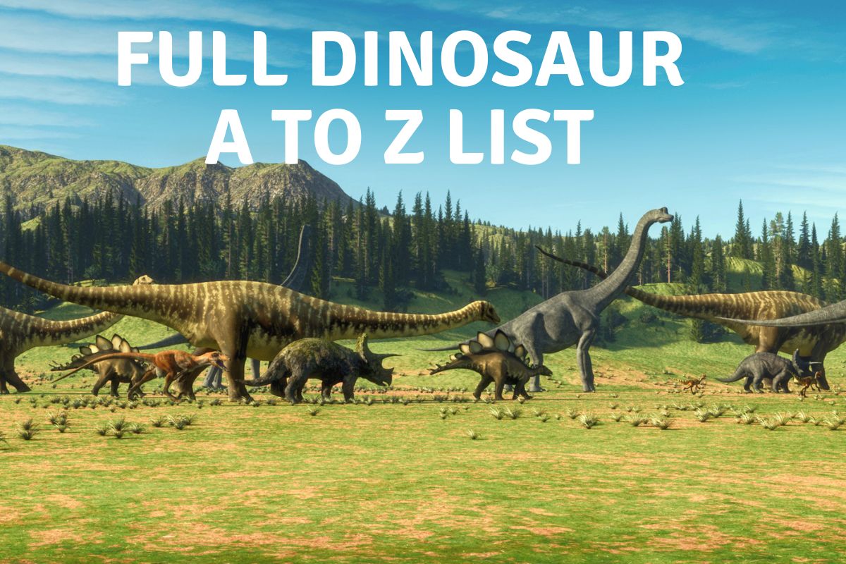 All Dinosaur Names: Dinosaur A to Z List, A to z list of dinosaurs, all dinosaur list