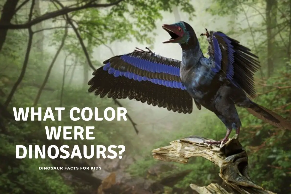 What Color Were Dinosaurs