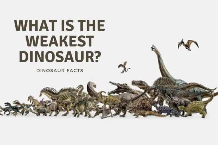 What Is The Weakest Dinosaur?