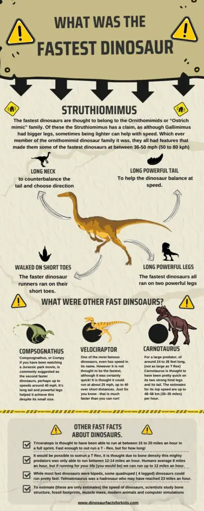What was the fastest dinosaur infographic