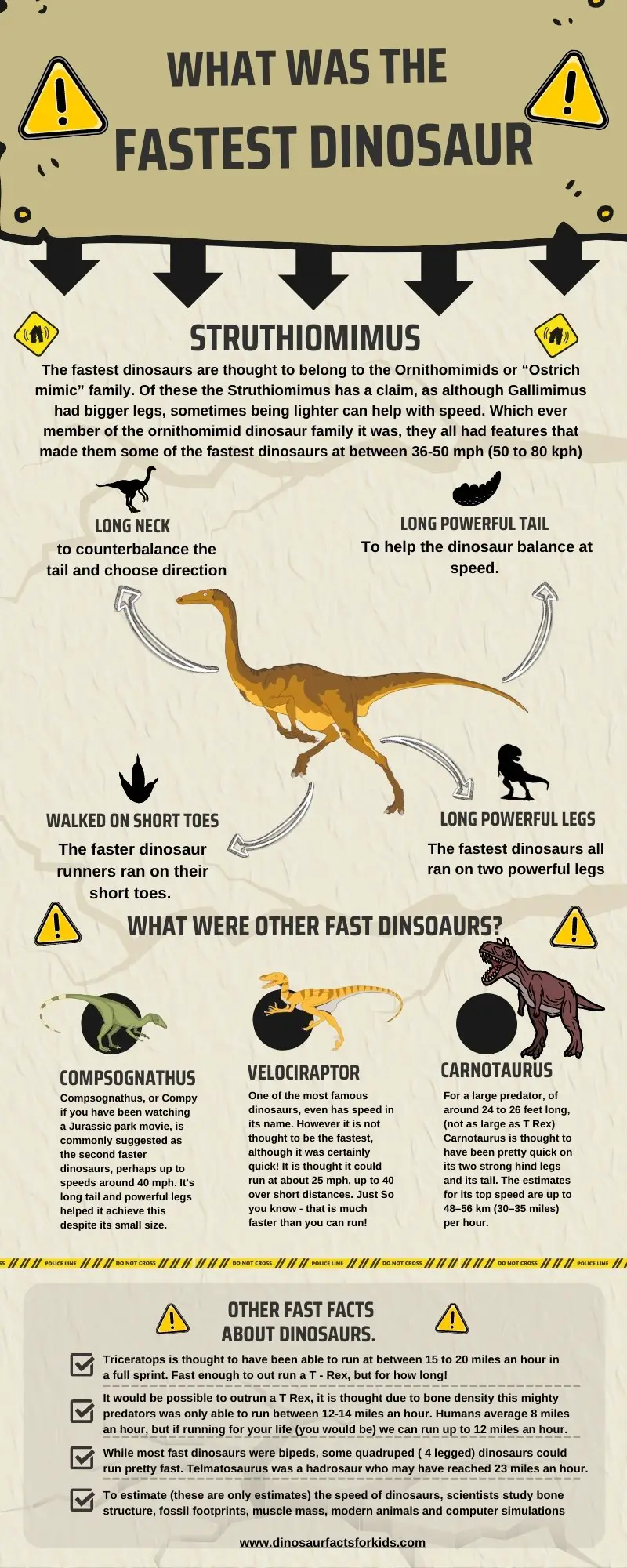 What Was The Fastest Dinosaur? - Dinosaur Facts For Kids