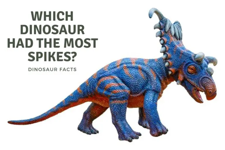 Which Dinosaur had the most spikes?
