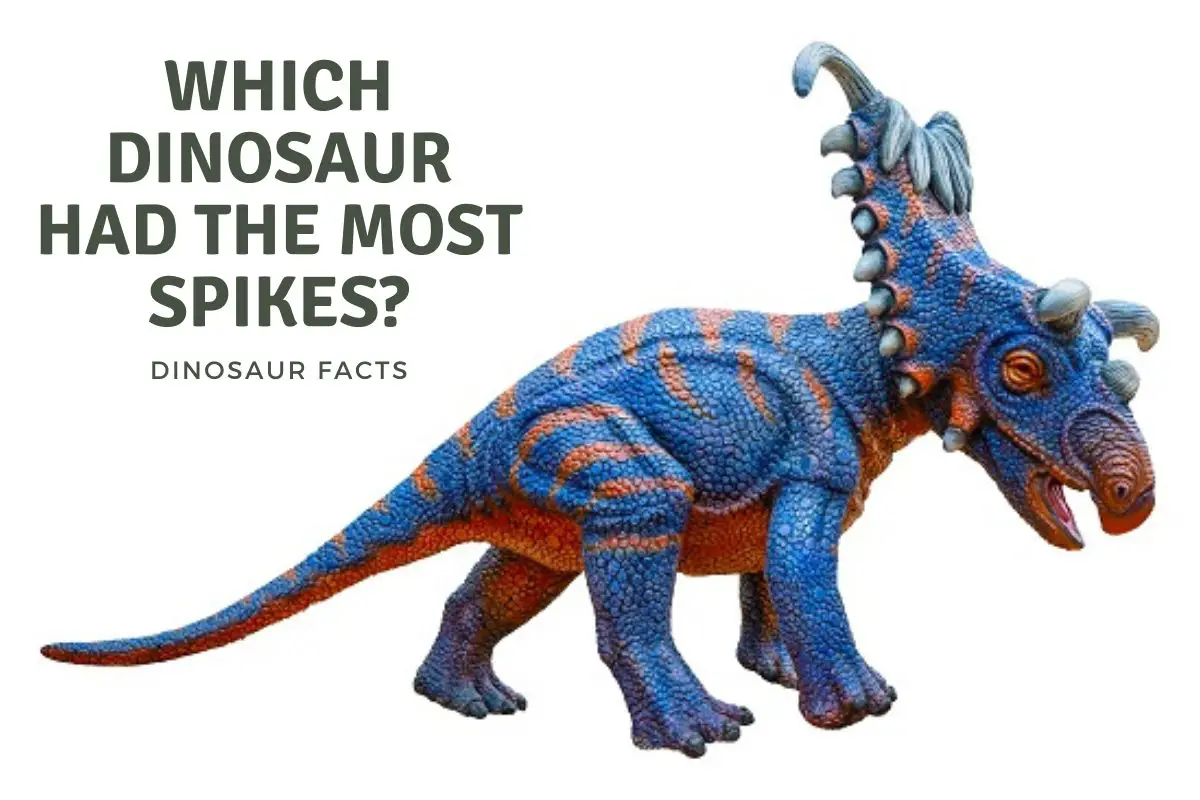 Which Dinosaur had the most spikes