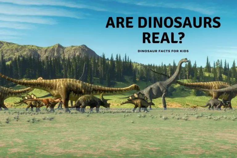 Are Dinosaurs Real