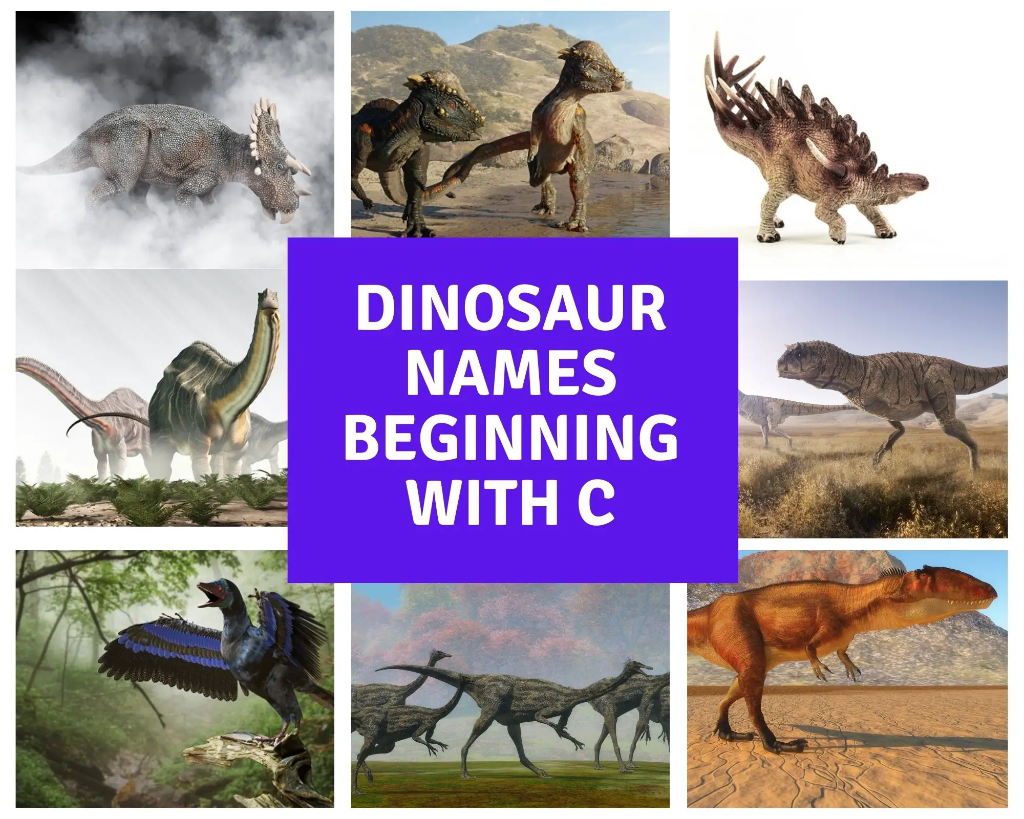 dinosaur names beginning with c