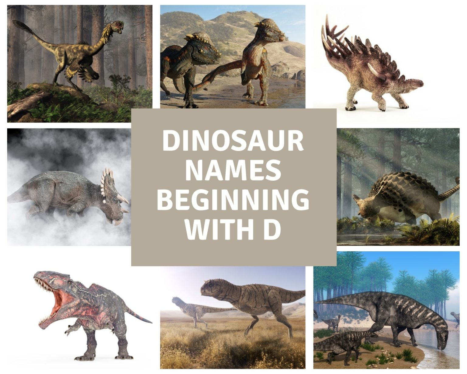 All Dinosaur Names: Dinosaur A To Z List - Dinosaur Facts For Kids