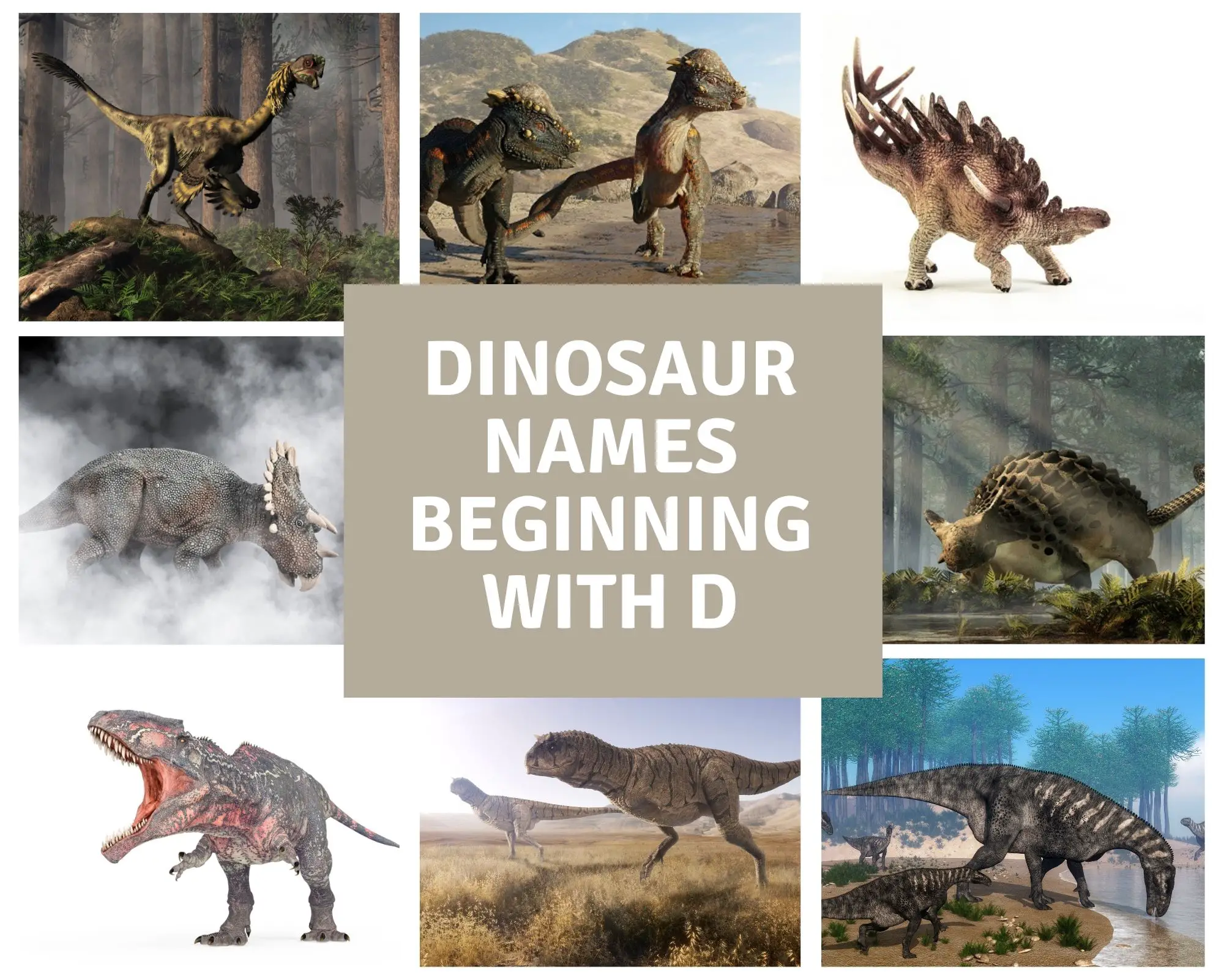 dinosaur names beginning with d
