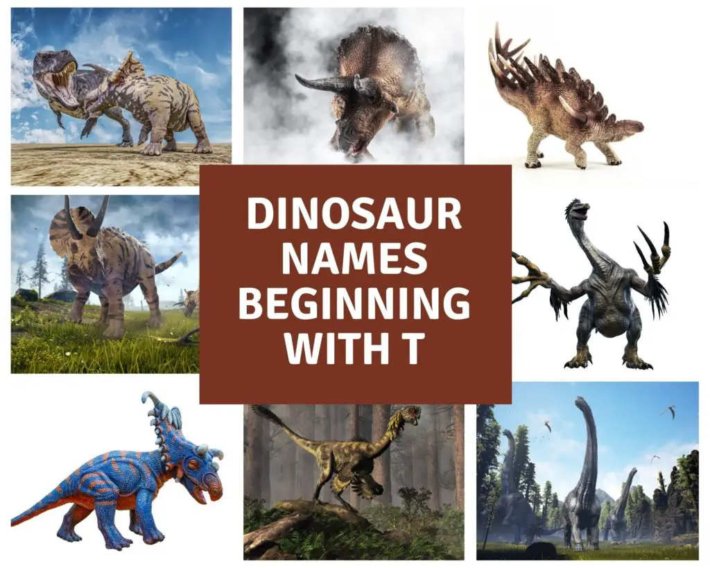 https://dinosaurfactsforkids.com/dinosaur-names-beginning-with-t/