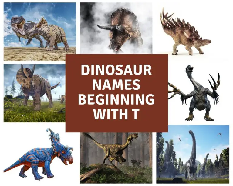 Dinosaur Names Beginning With T