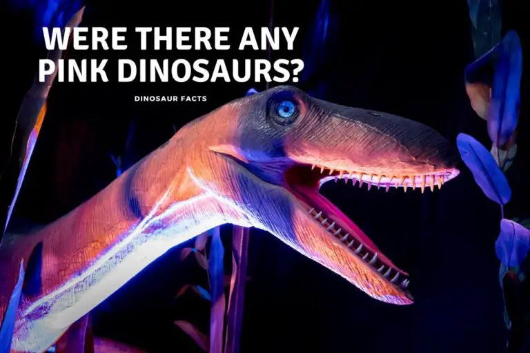 Were There Any Pink Dinosaurs?