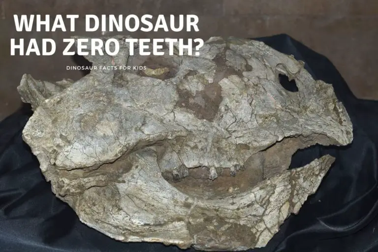 What Dinosaur Had Zero Teeth?