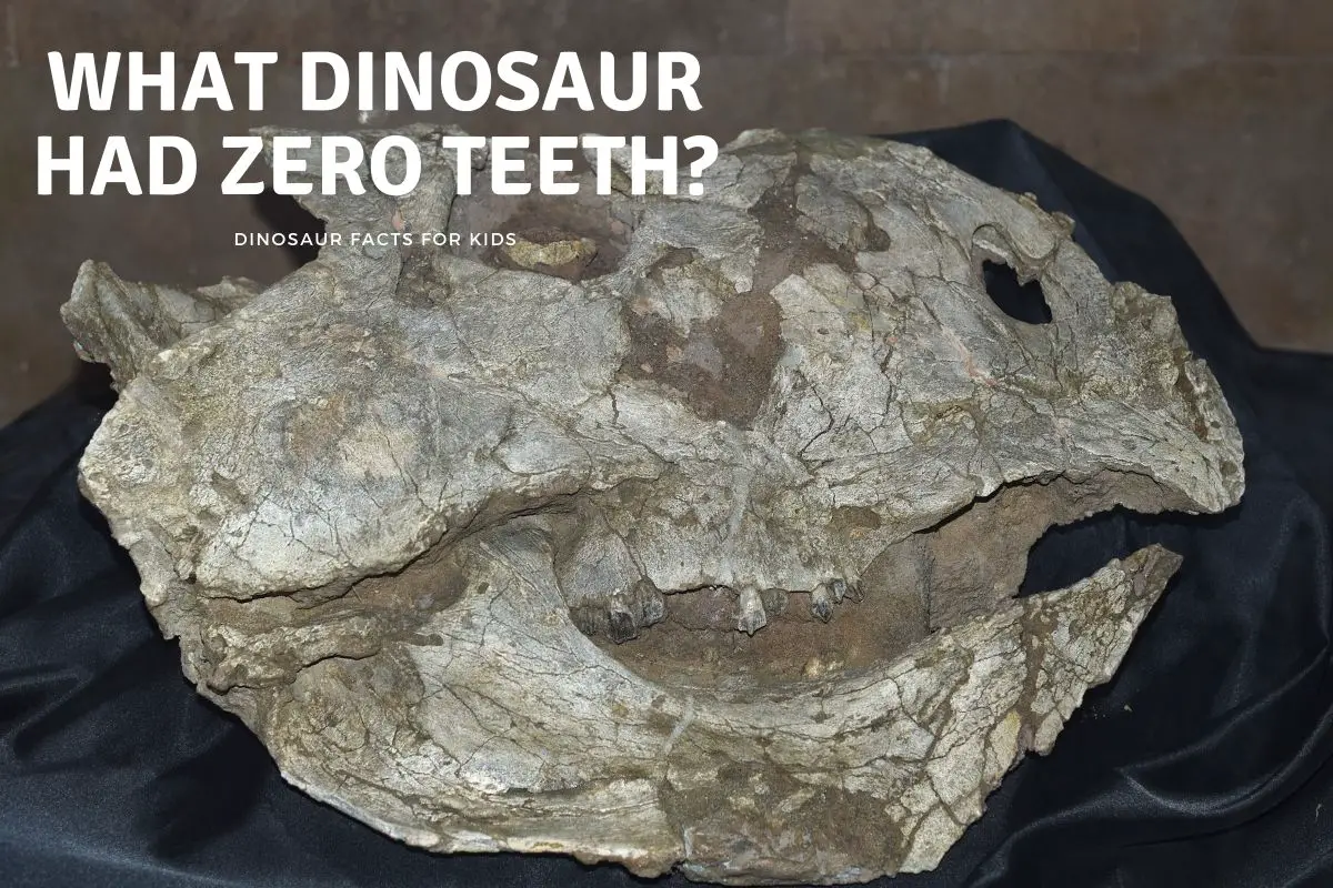What Dinosaur Had Zero Teeth