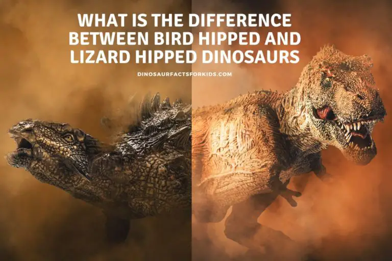 What Is The Difference Between Bird Hipped And Lizard Hipped Dinosaurs