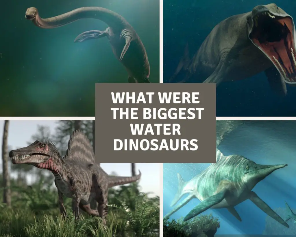 What Were The Biggest Water Dinosaurs Dinosaur Facts For Kids