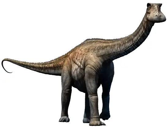 long neck dinosaur nigersaurus