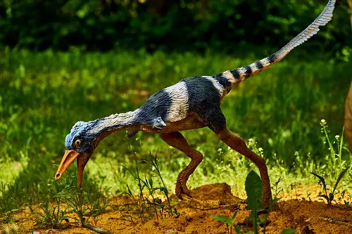 caihong colored dinosaur pink dinosaur
dinosaur with no tail
