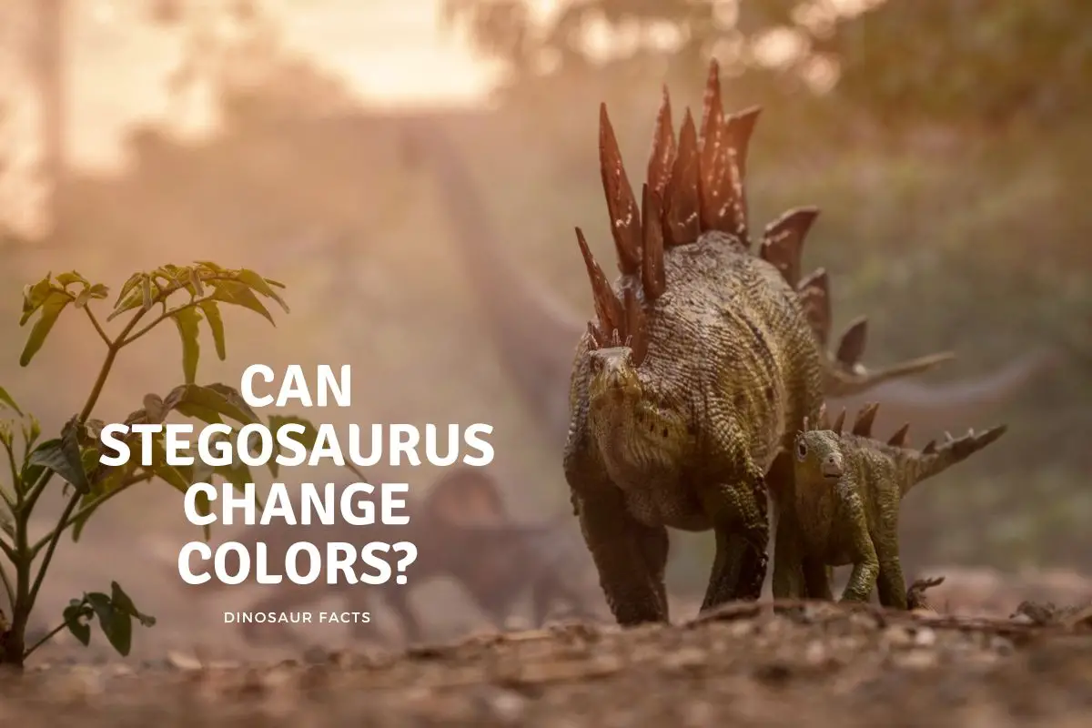 Can Stegosaurus Change Colors