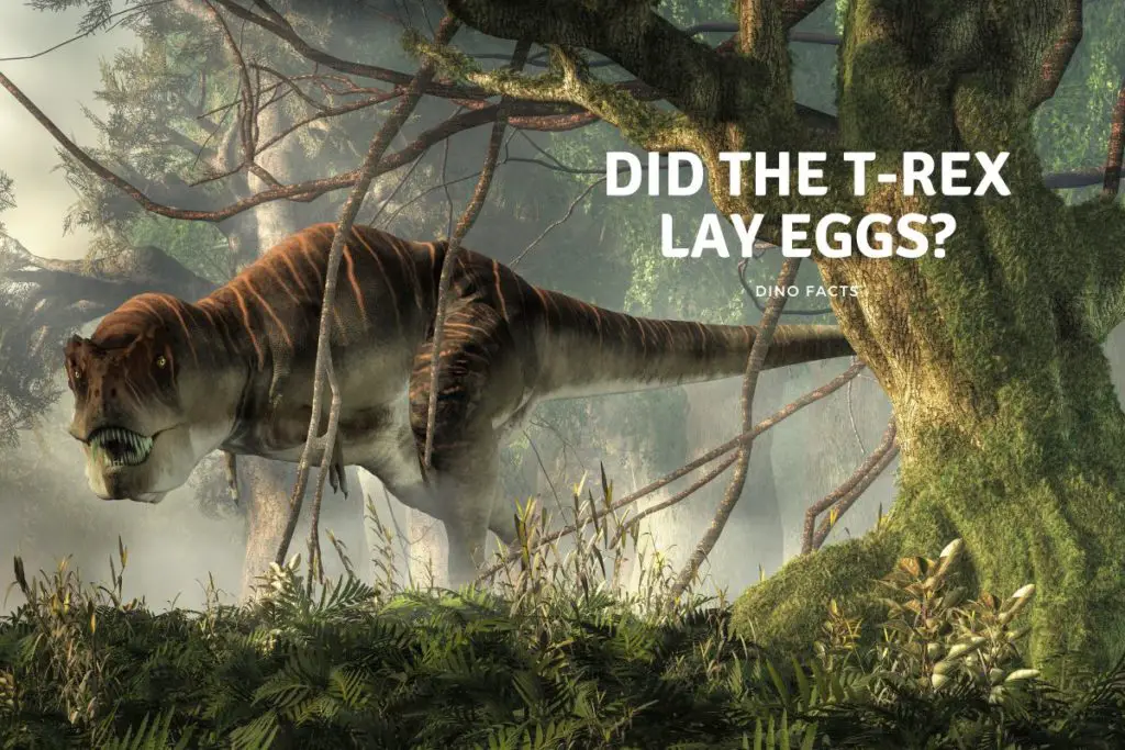 Did The TRex Lay Eggs? Dinosaur Facts For Kids