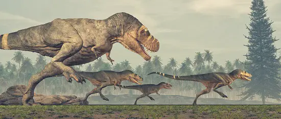 how tall is a t rex