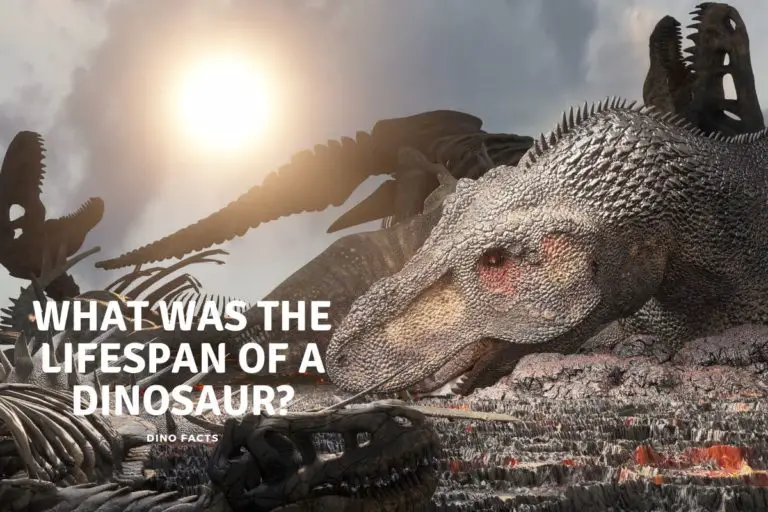 What Was the Lifespan of a Dinosaur?