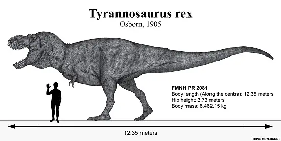 How tall was a T Rex