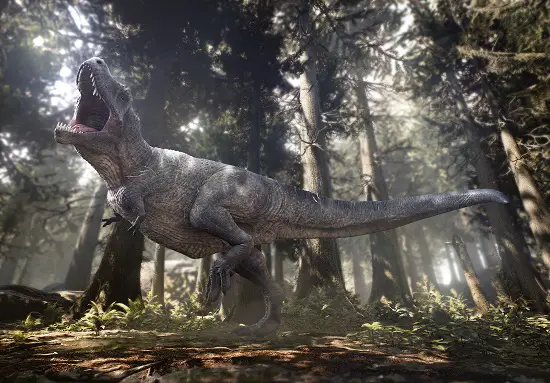 most popular dinosaur - T Rex