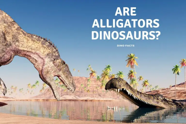 Are Alligators Dinosaurs?