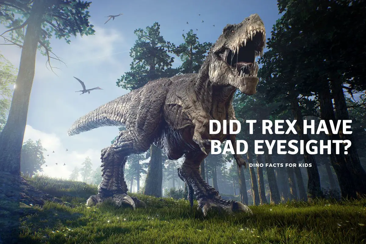 Did T Rex Have Bad Eyesight