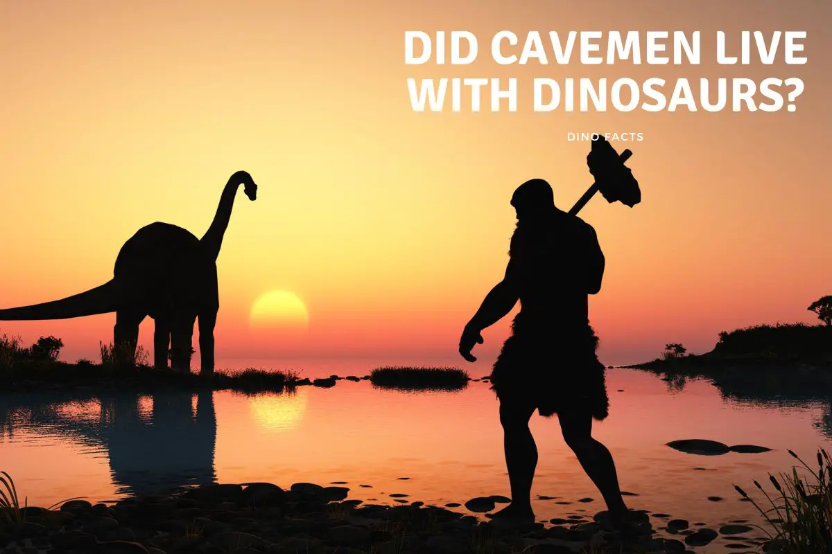 Did Cavemen Live With Dinosaurs?