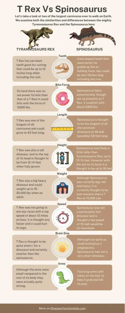 T Rex Vs. Spinosaurus Infographic