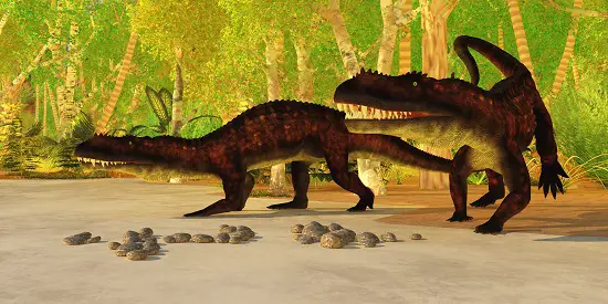 Prestosuchus waht did dinosaurs evolve from