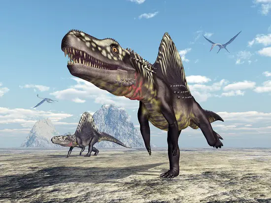 Arizonasaurus - waht did dinosaurs evolve from. 
