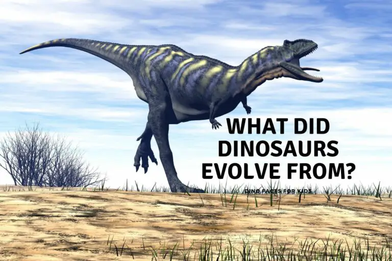What Did Dinosaurs Evolve From?