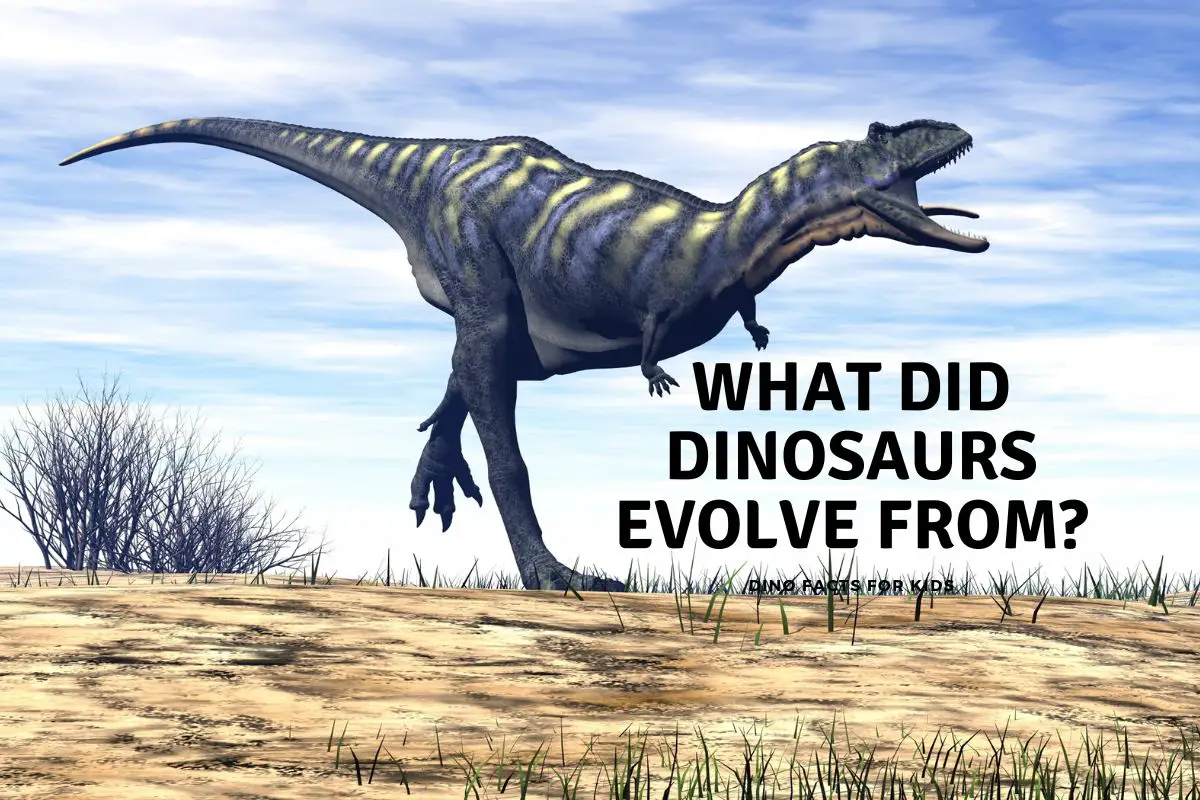 What Did Dinosaurs Evolve From
