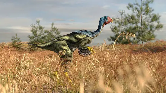 Are Dinosaurs Just Big Birds?