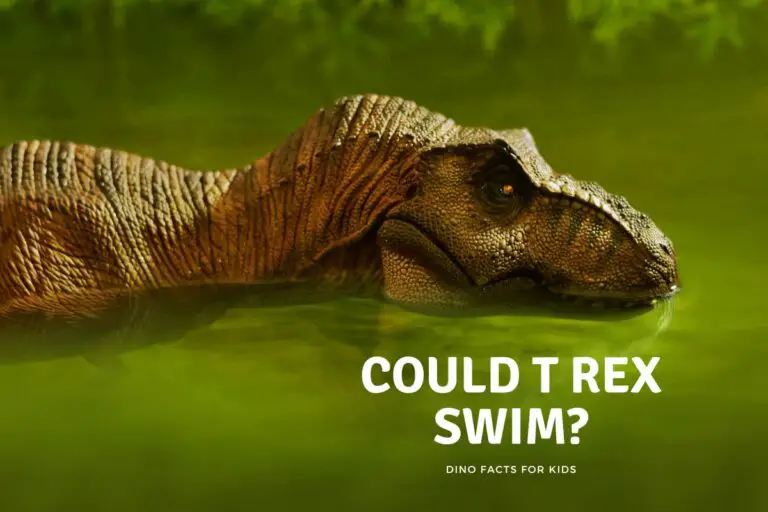 Could T-Rex Swim?
