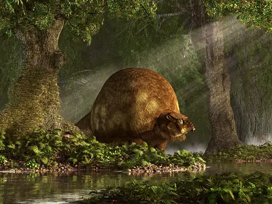 What Prehistoric Animals Did Cavemen Live with? glyptodont