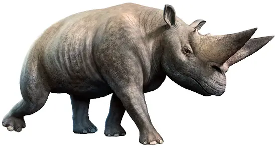 arsinoitherium is a rhinoceros a dinosaur