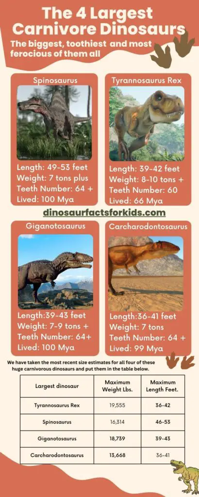 4 largest carnivore dinosaurs infographic