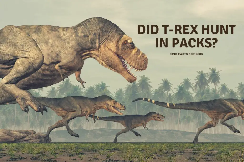 did-t-rex-hunt-in-packs-dinosaur-facts-for-kids