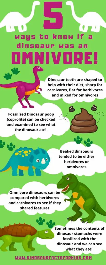 How to tell a dinosaur is an omnivore infographic