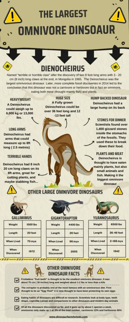 The Largest Omnivore Dinosaur Infographic