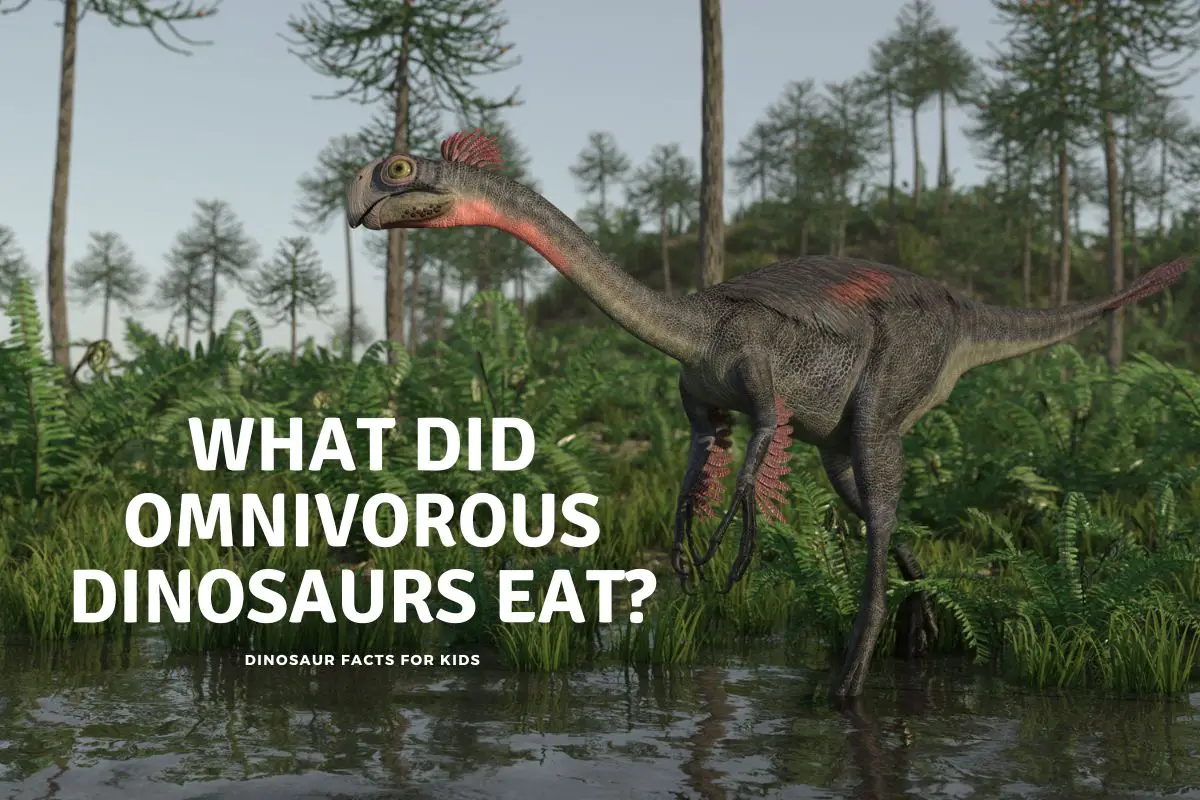 What Did Omnivorous Dinosaurs Eat? - Dinosaur Facts For Kids