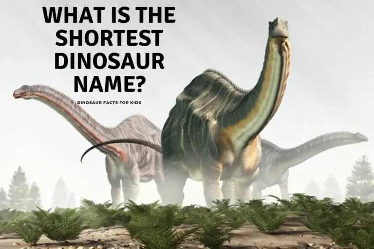 What Is The Shortest Dinosaur Name?