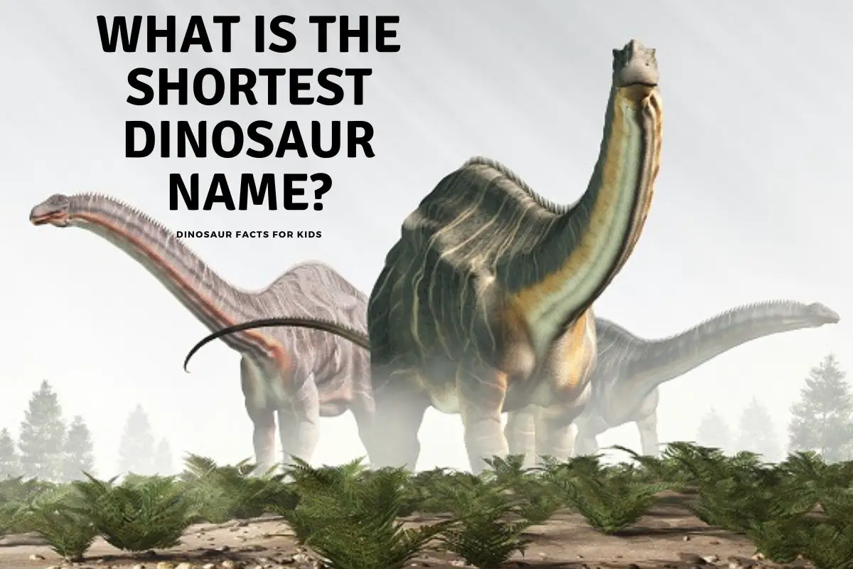 What Is The Shortest Dinosaur Name