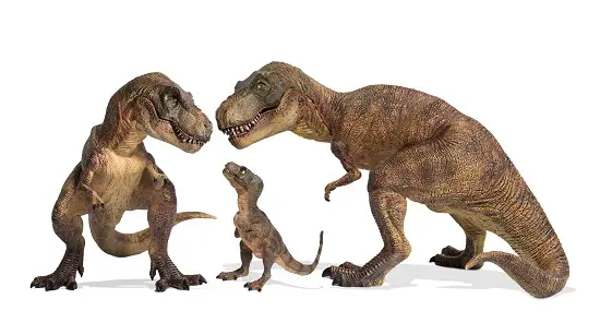 t rex arms
short arm t rex
why did t-rex have short arms
